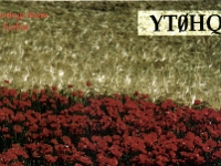 YT0HQ-2014-07-13-10h-54-20m-01