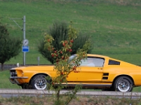 Ami-Treffen-Willisau-2026-09-06-0297