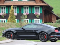 Ami-Treffen-Willisau-2026-09-06-0346
