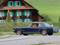 Ami-Treffen-Willisau-2026-09-06-0529