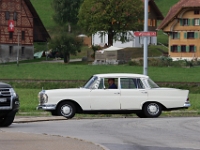 Ami-Treffen-Willisau-2026-09-06-0772