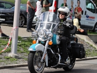 Ami-Treffen-Willisau-2026-09-06-1101