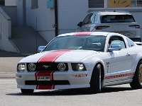 Amitreffen-Baragge-Sursee-2026-05-02-070