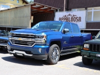 Appaloosa-Saloon-2026-06-12-030