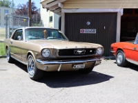 Appaloosa-Saloon-2026-06-12-044