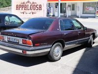 Appaloosa-Saloon-2026-06-12-048