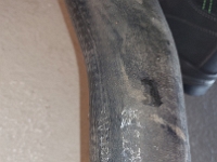 Lincoln-Continental-Town-Car-1979-2025-12-21-Motor-025