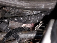 Lincoln-Continental-Town-Car-1979-2026-03-07-Motor-002