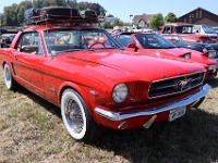 Motor-Festival-Gasoline-Friends-Affeltrangen-TG-2026-08-08-071