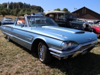Motor-Festival-Gasoline-Friends-Affeltrangen-TG-2026-08-08-083