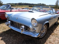 Motor-Festival-Gasoline-Friends-Affeltrangen-TG-2026-08-08-153