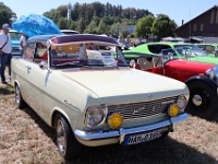 Motor-Festival-Gasoline-Friends-Affeltrangen-TG-2026-08-08-173