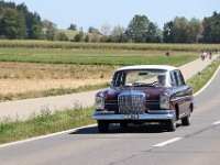 Motor-Festival-Gasoline-Friends-Affeltrangen-TG-2026-08-08-193