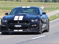 Motor-Festival-Gasoline-Friends-Affeltrangen-TG-2026-08-08-517