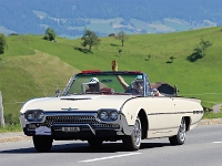 OIO-2026-05-24-208