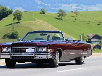 OIO-2026-05-24-338