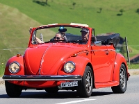 OIO-2026-05-24-481