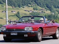OIO-2026-05-24-491