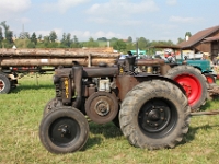 Oldtimertraktorentreffen-2013-Schoetz-031