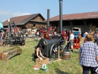 Oldtimertraktorentreffen-2013-Schoetz-063