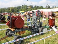 Oldtimertraktorentreffen-2013-Schoetz-067