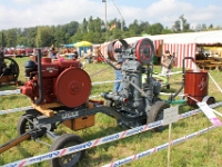 Oldtimertraktorentreffen-2013-Schoetz-068