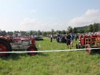Oldtimertraktorentreffen-2013-Schoetz-083