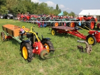 Oldtimertraktorentreffen-2013-Schoetz-098