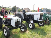 Oldtimertraktorentreffen-2013-Schoetz-168