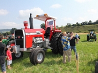 Oldtimertraktorentreffen-2013-Schoetz-175