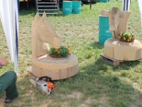 Oldtimertraktorentreffen-2013-Schoetz-209