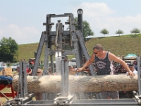 Oldtimertraktorentreffen-2013-Schoetz-255