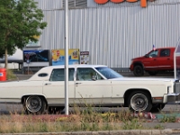 US-Car-Meeting-in-Schenkon-LU-2026-05-31-0006