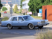US-Car-Meeting-in-Schenkon-LU-2026-05-31-0165