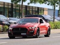 US-Car-Meeting-in-Schenkon-LU-2026-05-31-0445