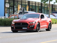 US-Car-Meeting-in-Schenkon-LU-2026-05-31-0446