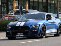 US-Car-Meeting-in-Schenkon-LU-2026-05-31-0464
