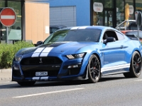 US-Car-Meeting-in-Schenkon-LU-2026-05-31-0465