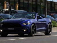 US-Car-Meeting-in-Schenkon-LU-2026-05-31-0750