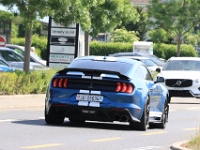 US-Car-Meeting-in-Schenkon-LU-2026-05-31-0777