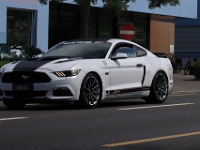 US-Car-Meeting-in-Schenkon-LU-2026-05-31-0984